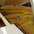 1984 Yamaha 5'3 - Grand Pianos